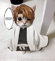 a cat is wearing glasses and a kimono and says everything is under our control