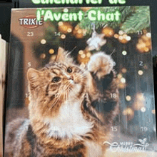 a cat is reaching up towards a christmas tree on a calendar .