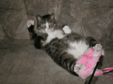 a cat is laying on its back on a couch with a pink toy in its paws