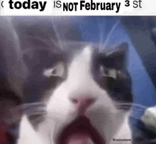 a close up of a cat 's face with its mouth open and the words `` today is not february 3 st '' .