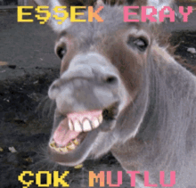 a donkey with its mouth open and the words " çok mutlu " on the bottom right