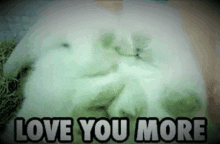 a white rabbit is laying down with the words `` love you more '' .