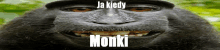 a close up of a monkey 's face with the words `` ja kiedy monki '' above it .