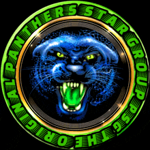 a logo for the panthers star group has a blue panther in the center