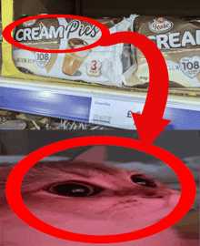 a box of cream pies sits on a store shelf