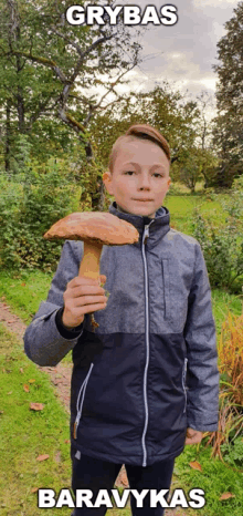 a boy is holding a large mushroom with the words grybas and baravykas above him