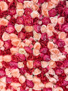 a bunch of pink and red roses are arranged in a heart shaped pattern