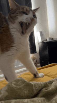 a cat is yawning on a bed with a yellow blanket