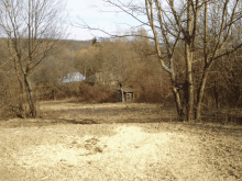 a shed in the middle of a field with trees