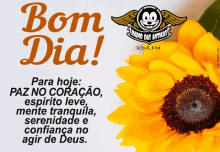 a picture of a sunflower and the words bom dia