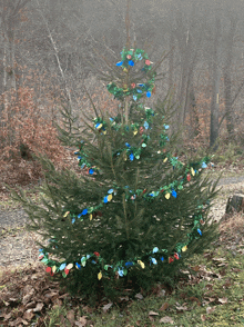 a small christmas tree in the woods with lights and tinsel on it