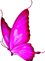 a pink butterfly with a white background is flying