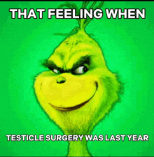 a grinch meme that says that feeling when testicle surgery was last year