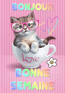 a kitten wearing glasses sits in a cup with the words bonjour bonne semaine written on it