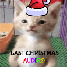 a cat wearing a santa hat with the words last christmas audio