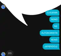 a black background with a speech bubble that says " o kurwa being nie autokorekta being japierdole "