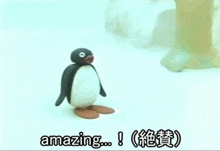 a penguin is standing on a snowy surface with the words `` amazing '' written below it .