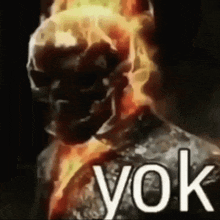 a close up of a burning skeleton with the words yok written on it .