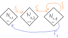 a diagram showing the stages of a baby 's life including infant juvenile and adult