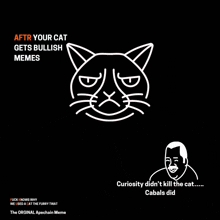 a black background with a grumpy cat and a man with the caption " curiosity did n't kill the cat ... cabals did "