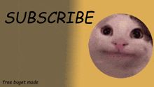 a picture of a cat with the words subscribe free buget made