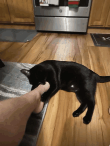 a black cat is laying on the floor next to a stainless steel appliance