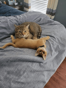 a cat and a kitten laying on a bed with a clock on the nightstand that reads 10:08