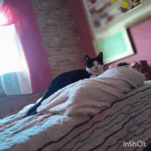 a black and white cat laying on a bed with a blanket on it