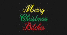 a sign that says merry christmas bitches on a black background .