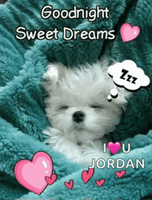 a puppy is wrapped in a blanket and says goodnight sweet dreams i love you jordan