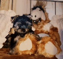 a small black dog sitting next to a stuffed animal