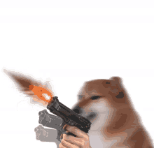 a dog is holding a gun with a flame coming out of the barrel