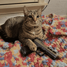 a cat is laying on a blanket with a gun on its paw