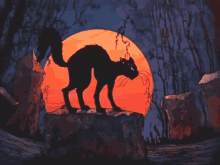 a silhouette of a cat standing on a rock in front of a full moon