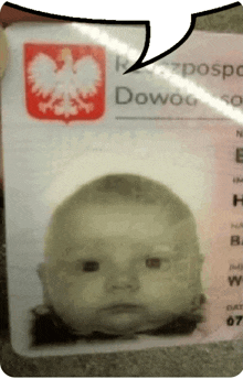 a baby 's face is on a passport that says dowoc