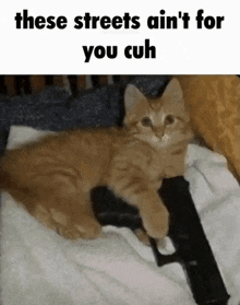 a kitten holding a gun with the caption these streets ain t for you cuh