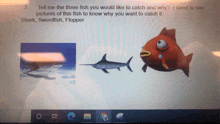 a computer screen shows a picture of a shark swordfish and flipper