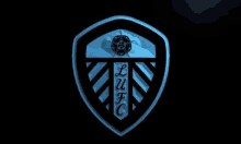 a blue and black shield with a soccer ball on it is on a black background .