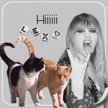 a woman is surrounded by two cats and dice with the word lex on them