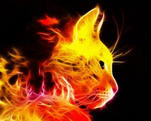 a close up of a cat 's face made of fire on a black background .