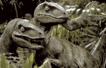 two dinosaurs are standing next to each other in the jungle looking at the camera .