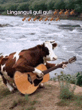 a cow is playing an acoustic guitar in front of a river with the words linganguli guli guli written above it