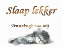 a kitten is sleeping on its back with the words slaap lekker trustekusje van mij written above it .