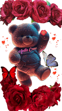 a teddy bear with the name anita cruz on his chest