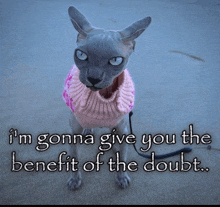 a hairless cat wearing a pink sweater with the words " i 'm gonna give you the benefit of the doubt " below it