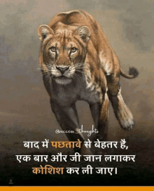 a painting of a lioness running with a quote in hindi