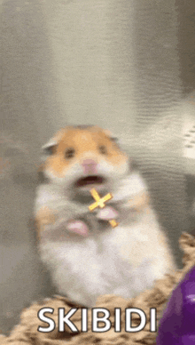 a hamster is holding a cross in its mouth and the word skibidi is on the bottom right