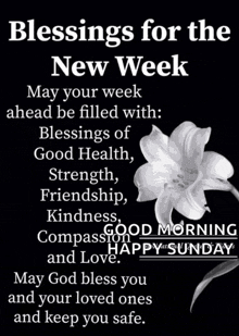 blessings for the new week may your week ahead be filled with blessings of good health strength friendship kindness good morning compass and love