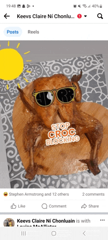 a picture of a chicken wearing sunglasses with the words stop croc blocking