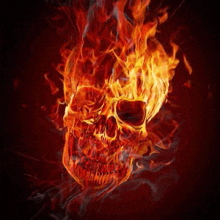 a skull is covered in flames on a black background .